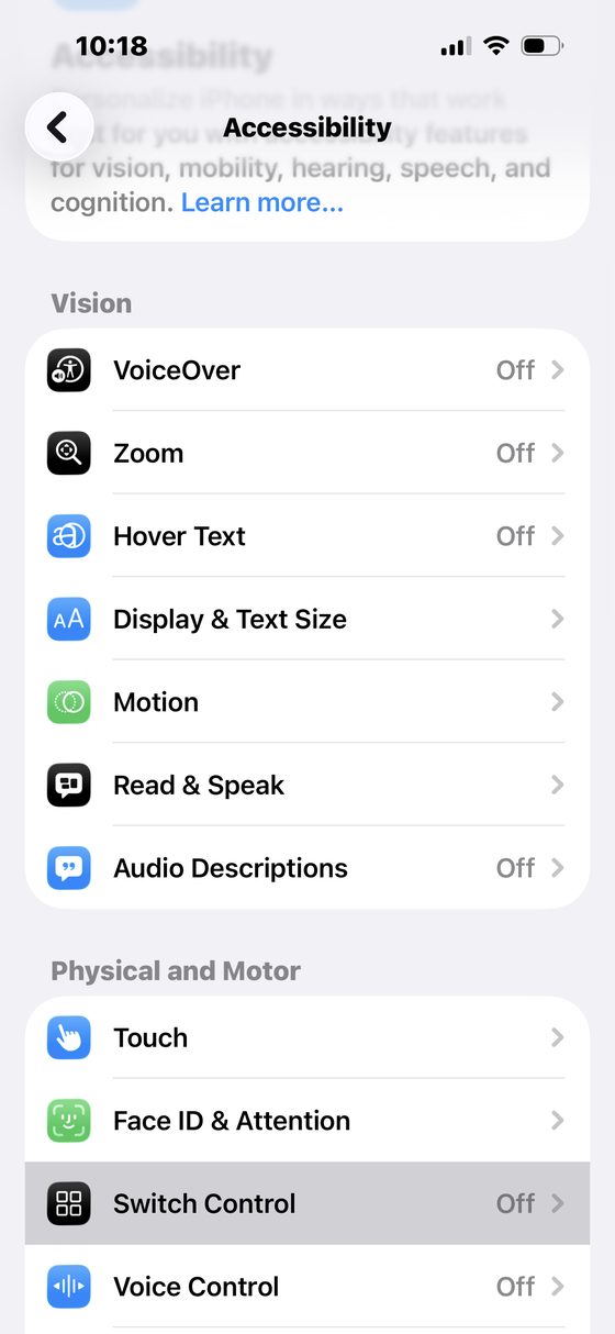 Accessibility menu with Switch Control highlighted